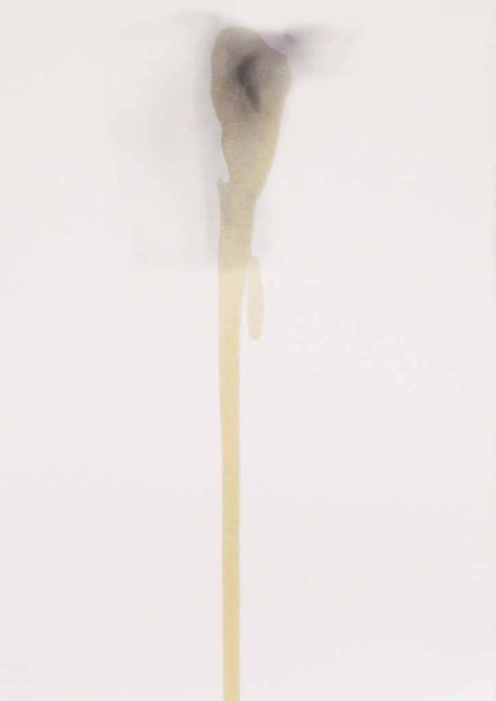 estigmas y cicatrices III