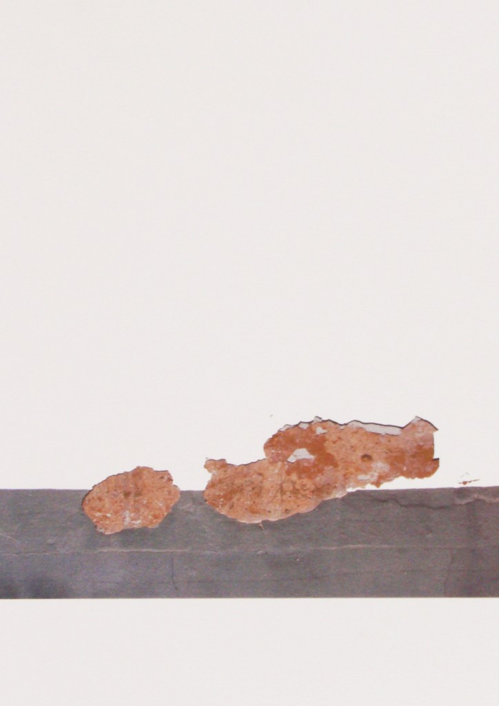 estigmas y cicatrices IX