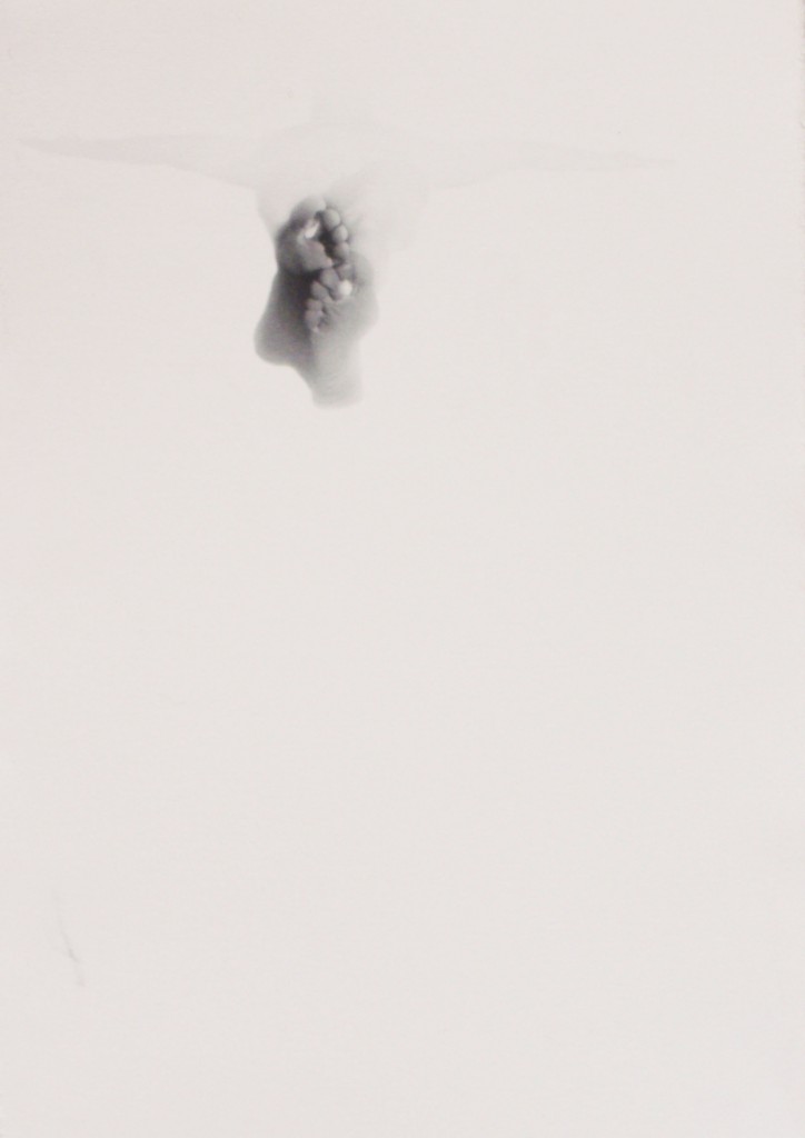 estigmas y cicatrices VII