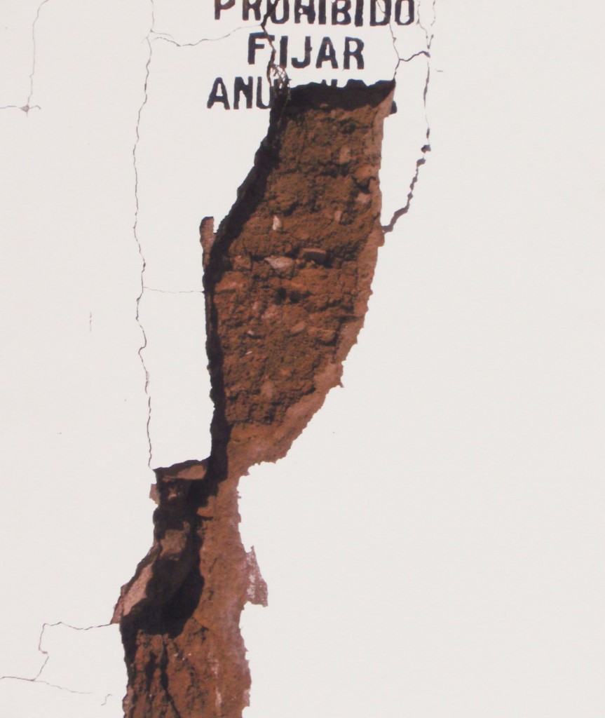 estigmas y cicatrices VIII