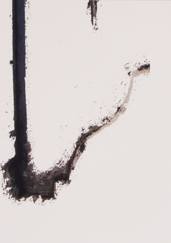 estigmas y cicatrices X