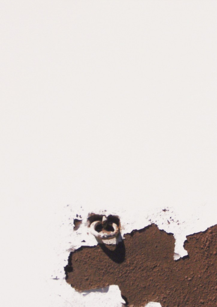 estigmas y cicatrices XI