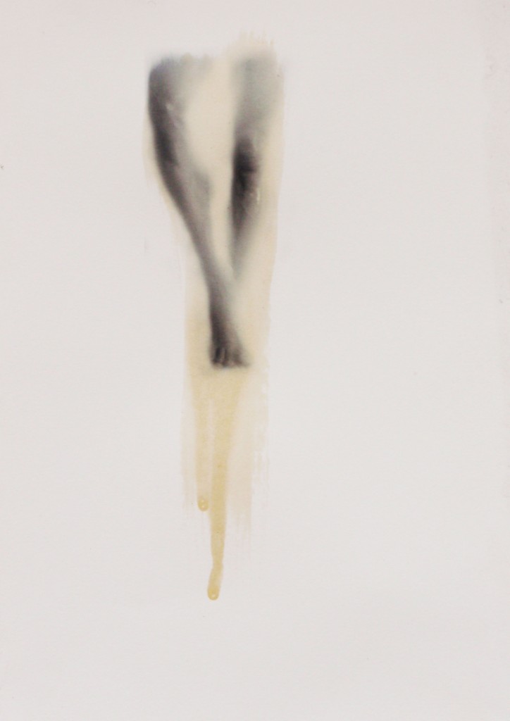 estigmas y cicatrices XIII