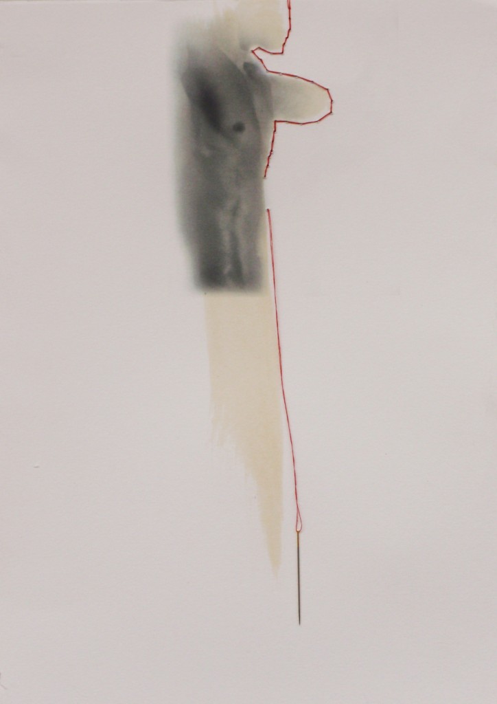 estigmas y cicatrices XIV