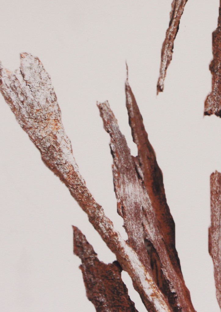 estigmas y cicatrices XVIII