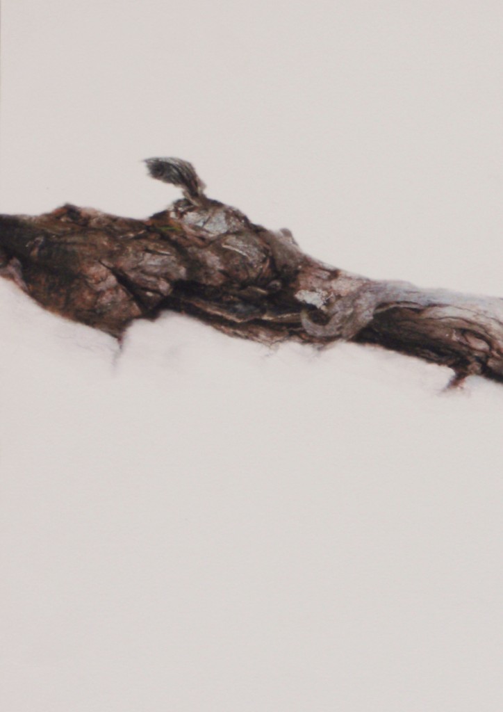 estigmas y cicatrices XX