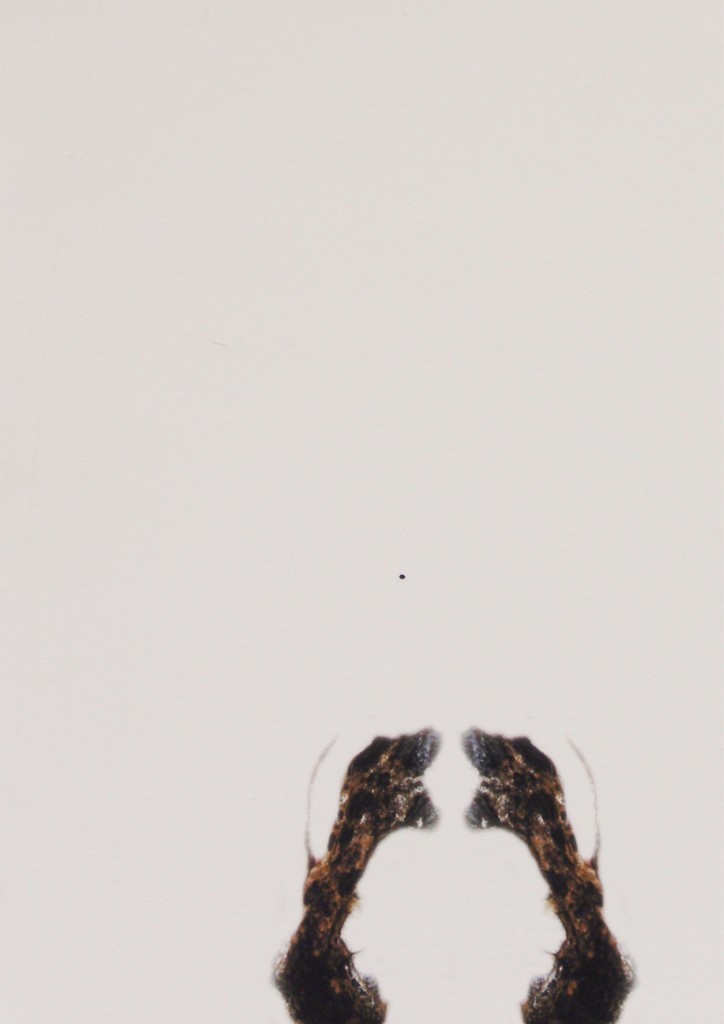 estigmas y cicatrices XXI